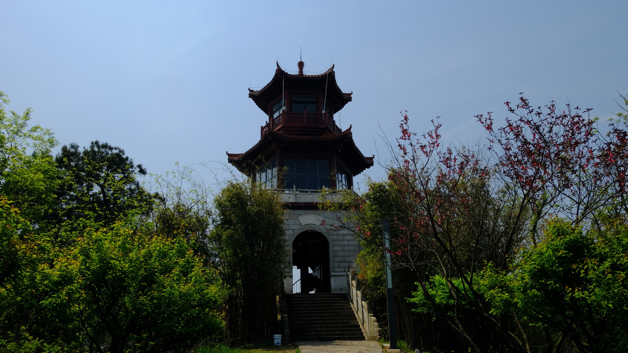 春日踏青好去處 武漢馬鞍山森林公園