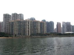 香港中原地產(chǎn)有限公司馬鞍山分行 專業(yè)房地產(chǎn)服務(wù)的可靠選擇